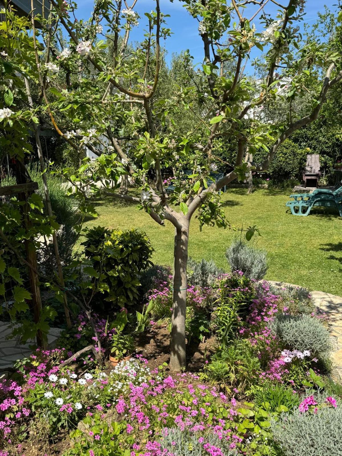 Holiday House K&K Privlaka  Ngoại thất bức ảnh